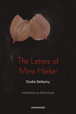 The Letters of Mina Harker 1