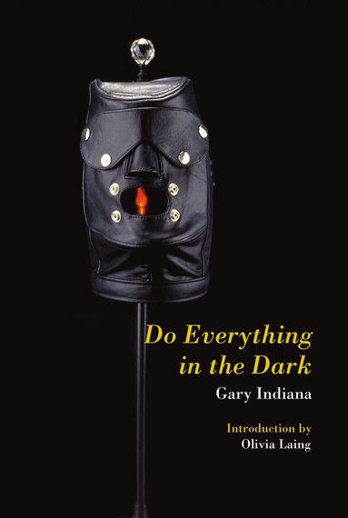 Gary Indiana - Do Everything in the Dark, Häftad