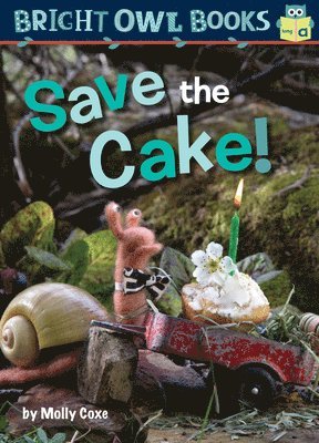 Molly Coxe - Save the Cake!, Häftad