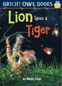 bokomslag Lion Spies a Tiger