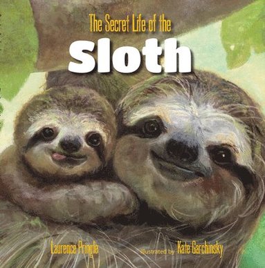 bokomslag Secret Life of the Sloth, The