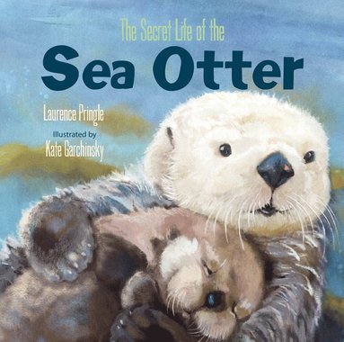 bokomslag Secret Life of the Sea Otter, The