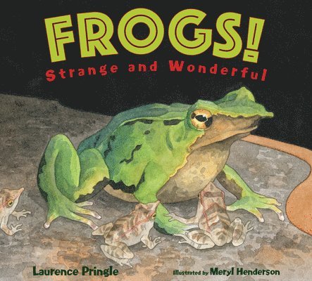 Frogs! 1