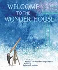 bokomslag Welcome to the Wonder House