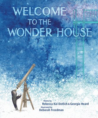 Welcome to the Wonder House 1