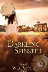 bokomslag Darkling Spinster