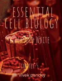 bokomslag essential cell biology 5 (black and white)