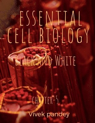 bokomslag essential cell biology 5 (black and white)