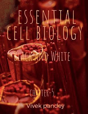 essential cell biology 5 (black and white) 1