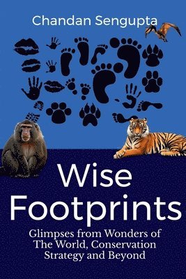 Wise Footprints 1