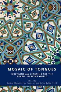 bokomslag Mosaic of Tongues
