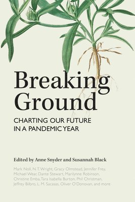 Anne Snyder, Susannah Black - Breaking Ground, Inbunden