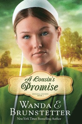 Wanda E. Brunstetter - Cousin's Promise, Häftad