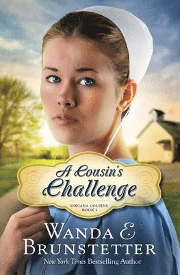 Wanda E. Brunstetter - Cousin's Challenge, Häftad