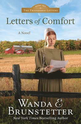 Wanda E. Brunstetter, Wanda E Brunstetter - Letters of Comfort: Volume 2, Häftad