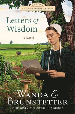 bokomslag Letters of Wisdom
