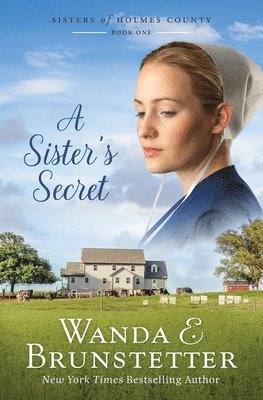 Wanda E. Brunstetter - A Sister's Secret: Volume 1, Häftad