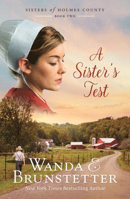 A Sister's Test: Volume 2 1