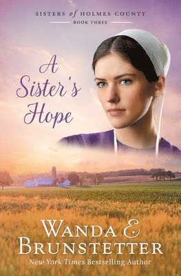 Wanda E. Brunstetter, Wanda E Brunstetter - A Sister's Hope: Volume 3, Häftad