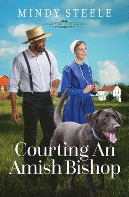 Courting an Amish Bishop: Volume 4 1