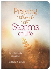 bokomslag Praying Through the Storms of Life