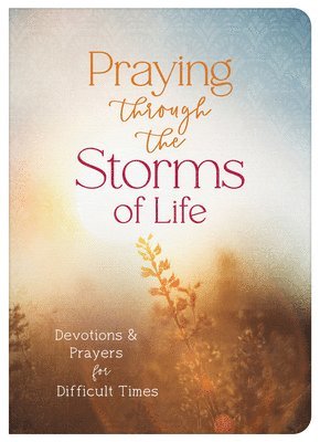 bokomslag Praying Through the Storms of Life