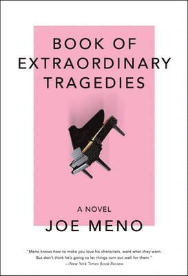 bokomslag Book of Extraordinary Tragedies