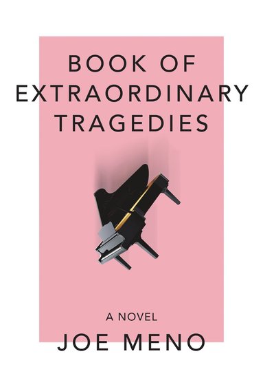 bokomslag Book of Extraordinary Tragedies