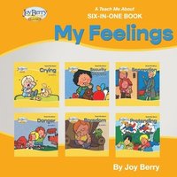 bokomslag A Teach Me About Six-in-One Book - My Feelings