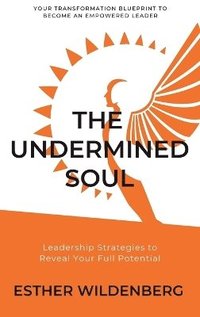 bokomslag Undermined Soul
