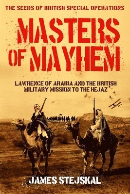 bokomslag Masters of Mayhem