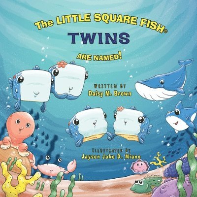 The Little Square Fish Twins Are Named! 1