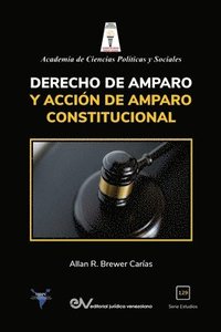 bokomslag Derecho de Amparo Y Accion de Amparo Constitucional
