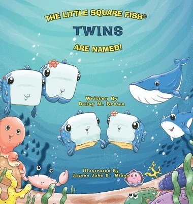 Little Square Fish Twins Are Named