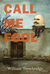 bokomslag Call Me Fool