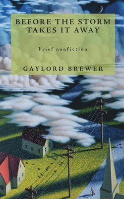Gaylord Brewer - Before the Storm Takes It Away, Häftad