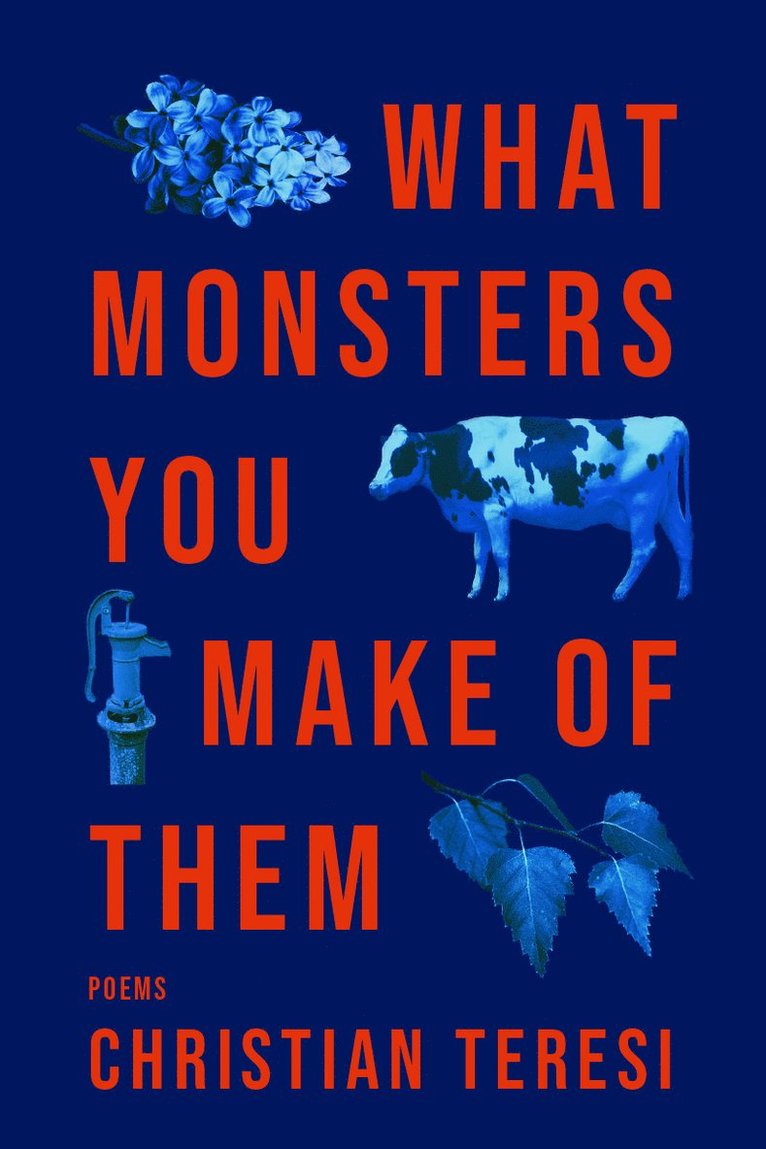 Christian Teresi - What Monsters You Make of Them, Häftad