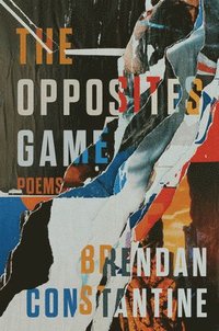 bokomslag Opposites Game