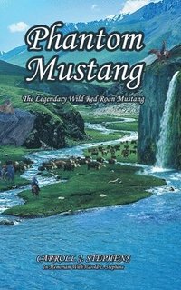 bokomslag Phantom Mustang