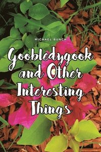 bokomslag Goobledygook and Other Interesting Things