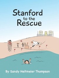 bokomslag Stanford to the Rescue