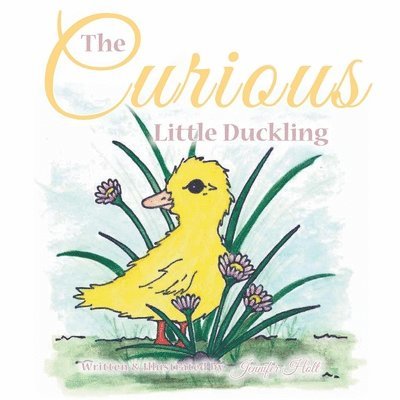 Jennifer Holt - Curious Little Duckling, Häftad