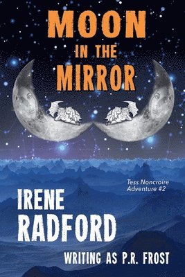 bokomslag Moon In The Mirror