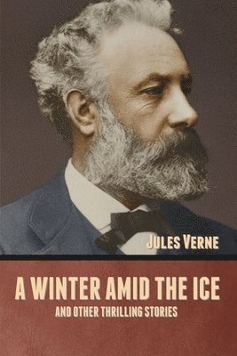 bokomslag winter amid the Ice, and Other Thrilling Stories