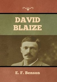 bokomslag David Blaize