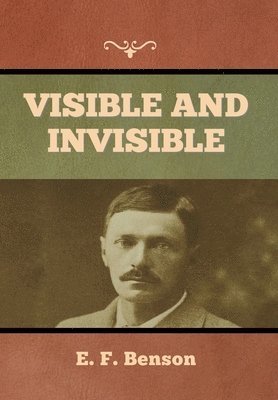 bokomslag Visible and Invisible