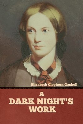 bokomslag Dark Night's Work
