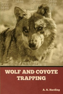 Wolf and Coyote Trapping 1