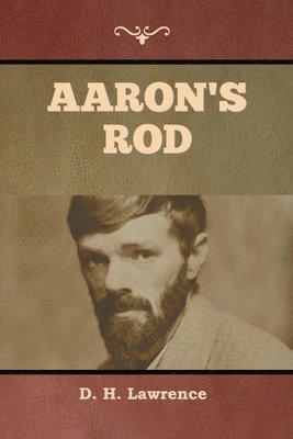 D H Lawrence, D. H. Lawrence, H. Lawrence, D. - Aaron's Rod, Häftad