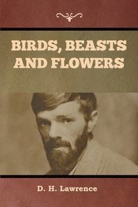 bokomslag Birds, Beasts and Flowers